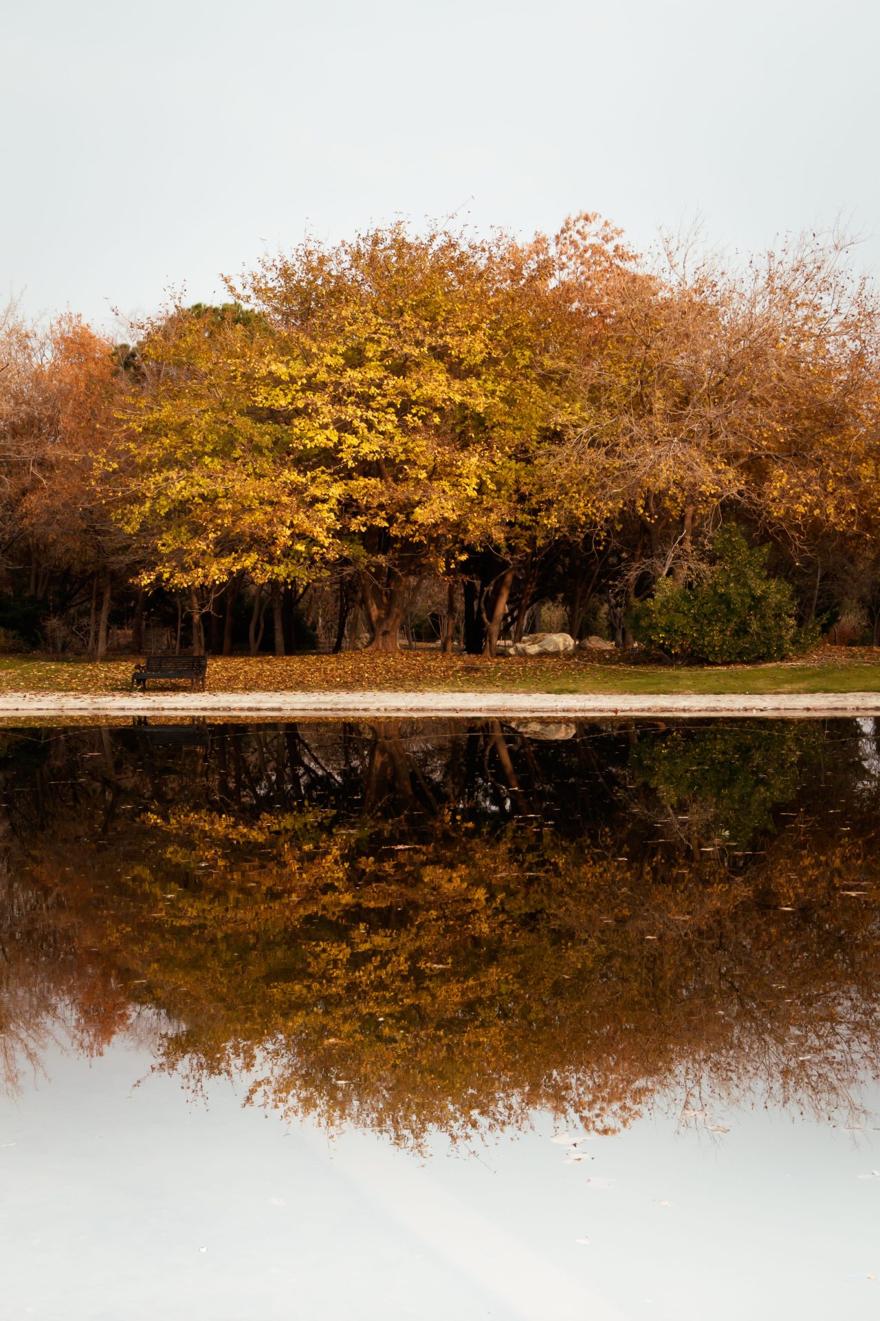 1401.09.11 Tehran National Botanical Garden Optimized